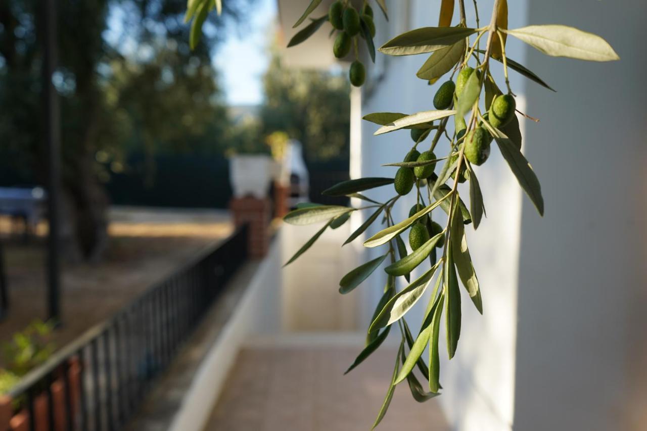 Olive&Sea Villa-Sea Mattinata Exterior photo